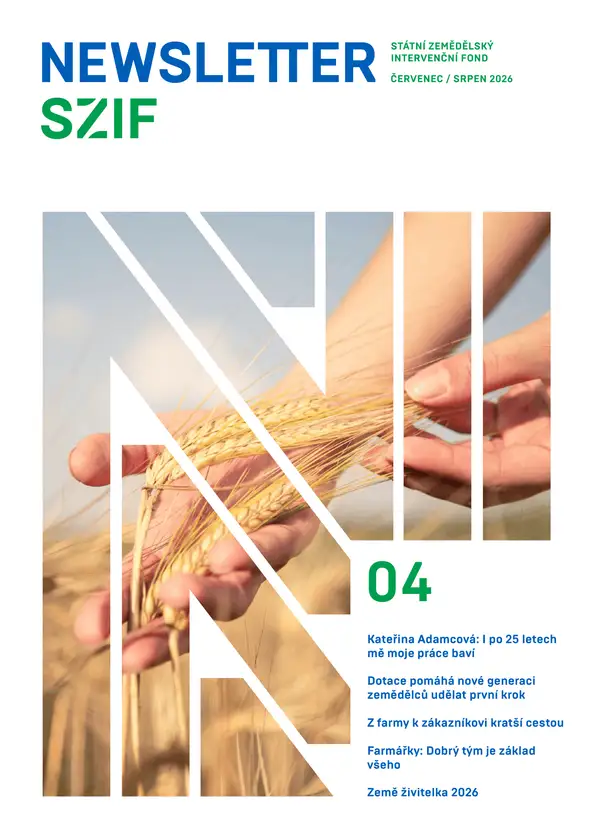 Náhledový obrázek newsletteru