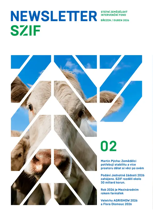 Náhledový obrázek newsletteru