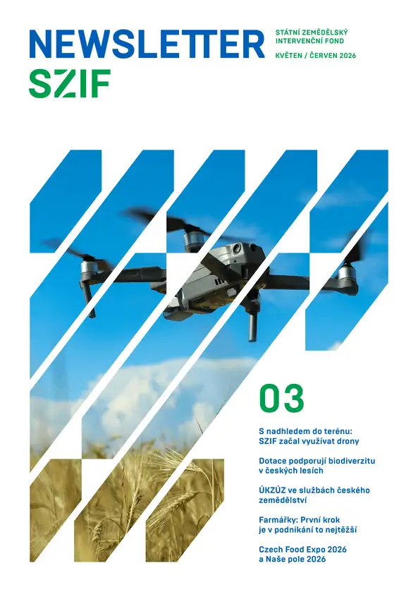 Náhledový obrázek newsletteru